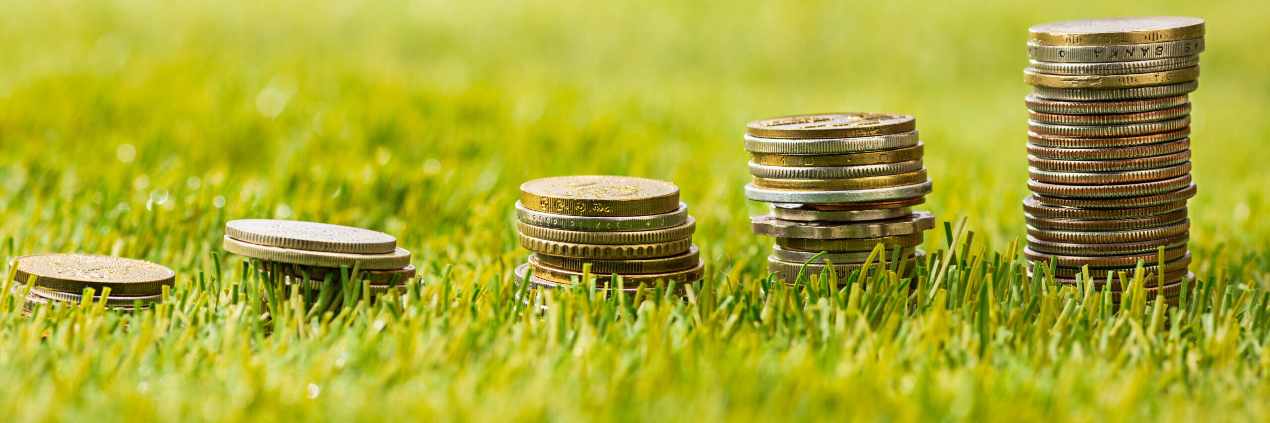 The columns of coins on green grass. Saving and investment financial concept